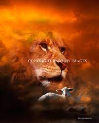 That is a confirmation of the fulfillment of the prophecy given in the old testament about the coming of the messiah from judah's tribe. The Lion And The Lamb Vertical Bartow Creative Images