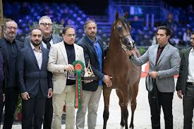 نتائج اليوم الثاني لبطولة العالم باريس 2019 لجمال الخيل العربية Arabian Horse Horses Arabians