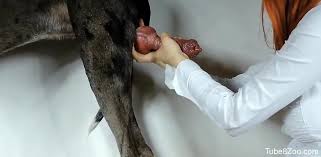 Veterinarian decides to make sure everything works fine