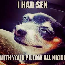 Get immediate access to our course 5 Reasons Dogs Hump That Have Nothing To Do With S E X Barkpost