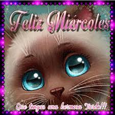 Resultado de imagen para feliz miercoles