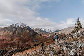 Tombstone territorial park is a territorial park in the yukon, one of three territories in canada. Tombstone Territorial Park Im Herbst Ein Rausch Der Farben Take An Advanture