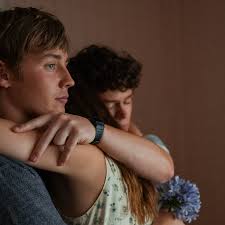 Boy Swallows Universe ending explained: episode 7 recap