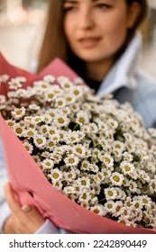 2+ Hundred Similar Small Daisy Royalty-Free Images, Stock Photos & Pictures 