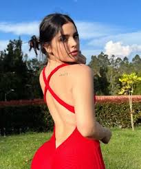 Silvi Saab Wikipedia, Age, Biography, Boyfriend, Wiki, Biografía, Bio