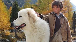 Sebastian is an orphan boy with a wandering life. Belle Sebastian Belle Et Sebastien Rome Review Hollywood Reporter