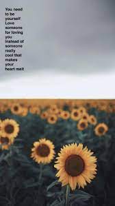 I should've stayed at home / 'cause right now i see all these people that love me / but i still feel alone / can't help but check my. 24 Rex Orange County Wallpapers On Wallpapersafari