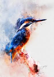 Watercolor Birdbird Print Digital Download Printable Art Wall Etsy In 2020 Watercolor Bird Diy Art Painting Kingfisher Art