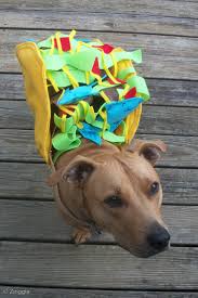 Maybe you would like to learn more about one of these? Zinggia Tuna S Taco Delight Handmade Halloween Dog Costume Zinggia