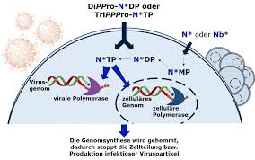 (this article was prepared with help from two of the uk's top herbalists, alan hopking and david broom.) Fighting Viral Infections And Cancer Department Of Chemistry Universitat Hamburg