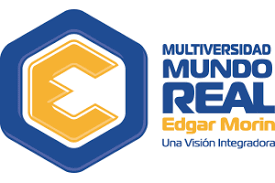 Pin En Paradigma De La Complejidad Edgard Morin