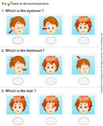 The human face is a complex trait under strong genetic control, as evidenced by the striking visual similarity between twins. Human Face Worksheet3 Human Body Games Human Face Hand Washing Poster