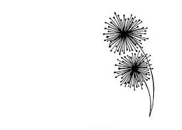 Black And White Pictures To Draw Images Line Drawing Dandelion Yahoo Image Search Results Dandelion Drawing Drawings Line Drawing
