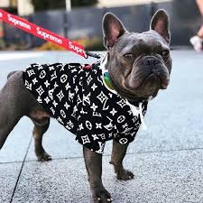 Pupreme Lv Dog Hoodies Super Cute Puppies Dog Hoodie Baby Animals Funny