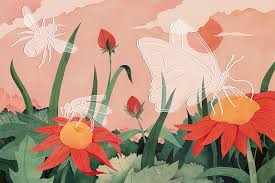 Vanishing Act Why Insects Are Declining And Why It Matters Science Nature Cat Insects Information Insects