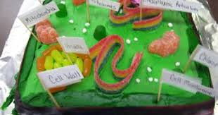 Check spelling or type a new query. 3d Plant Cell Cake Project Image Gallery Plant Cell Project Edible Cell Project Cells Project