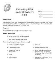 The dna found in strawberry cells can be extracted using common, everyday materials. Strawberry Dna Extraction Lab Genetics Lab Isolating Dna By Teachbig