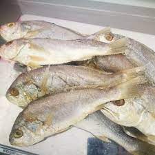 Cara buat ikan masin atau ikan masam. Ikan Masin Gelama Masam 200g Shopee Malaysia