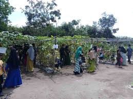 See more ideas about reka bentuk landskap, reban ayam, reban. Infopublik Objek Wisata Kebun Sayur