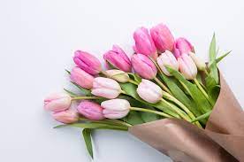 We did not find results for: Last Minute Mother S Day Gift 20 Stem Bunch Of Tulips For 10