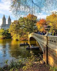 Fall ambience healing nature therapy for study, sleep. Saturday November 4th 2017 Good Morning Viewing Nyc