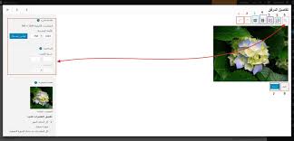 تحرير الوسائط في الووردبريس هل تريد تعديل الصور بسرعة لمقالاتك أو معارضك لا يعرف الكثير من الناس أن الووردبريس يأتي بالفعل مع محرر صور أ wordpress chart map