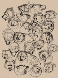 Lulustudies Bears Bears Bears And More Bears Art References Bear Art Animal Drawings Bear Sketch