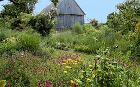 This is a recipe from ina garten's back to basics 2008 cookbook. Gartenreise Entdeckungsreise Im Eigenen Garten Sonja Schwingesbauer