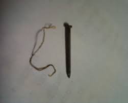 This pest most likely got into your home or toilet through an insect, such as a cricket or cockroach who ingested a string of eggs in a nearby pond. Long Red Worms In The Toilet All About Worms