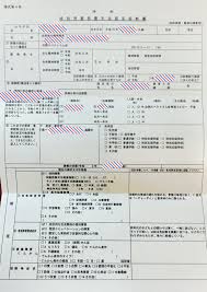 特別 児童 扶養 手当 ブログ