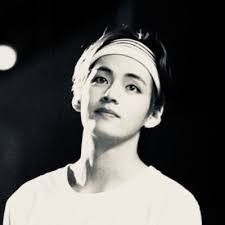 Alison Bolduc's Instagram, Twitter & Facebook