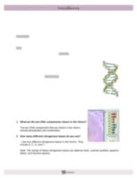 This gizmo helps the students to grasp the concept of dna replication. Buildingdnase 1 Name Caroline Allen Date Student Exploration Building Dna Vocabulary Double Helix Dna Enzyme Lagging Strand Leading Strand Mutation Course Hero