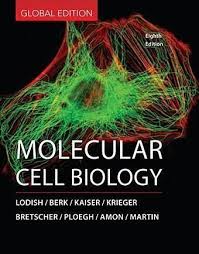 Biological Science Freeman 6th Edition Online New Book Molecular Cell Biology Eighth Edition Cell Biology Biology Molecular