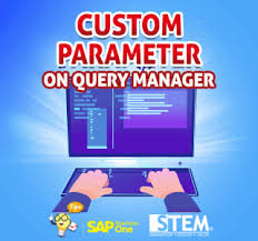 How To Use Custom Parameter On Query Manager Sap Business One Indonesia Tips Stem Sap Gold Partner