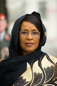 Portrait: Ambassador of the Republic of Chad to Austria, H.E. Mrs. Mariam  Ali Moussa