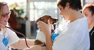 Ranks number 1 out of 50 states nationwide for veterinary assistant salaries. Online Veterinary Technician Degree Program Penn Foster