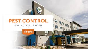 Pest control service dhaka bangladesh cockroaches control service termite control service rodent control mosquito control bed bug control the best part? Hotel Pest Control In Utah Thorn Pest Solutions