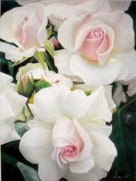 Gorgeous White Roses With Pink Hearts I Had Roses Like This Called White Delight Jackson Perkins Beautiful Roses Beautiful Flowers Pretty Flowers