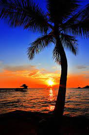 Bintan Sunset At Kelong Restaurant Sunset Pictures Sunset Photography Nature Pictures