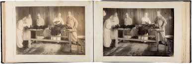 The Epidemic Conflagration - The Classic