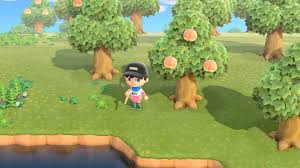 Just like the 3 star rating, your 5 star rating will now, the way to get the perfect rating is not that perfect. Can You Get Perfect Fruit In Animal Crossing New Horizons Gamepur