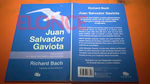 No era muy respetuoso analizar el cielo justo en el momento en que uno está a punto de entrar en él. Juan Salvador Gaviota 50 Anos De Un Clasico Que Invita A Superarse Parana Elonce Com
