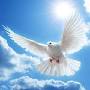 Profile Picture of Obituary information for Joseph L. Balough - Santangelo Funeral Home (@santangelofuneral.com) on Google