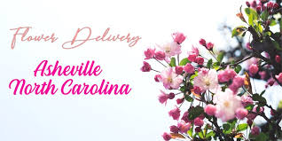 Contact flower gallery in asheville on weddingwire. 11 Best Flower Delivery In Asheville North Carolina 2021
