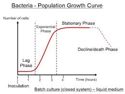 Pin By Jessica Joyce On Microbiology Exponential Growth