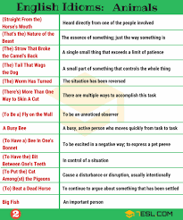 Animal Idioms 165 Useful Animal Idioms From A Z 7 E S L English Idioms Idioms Idioms And Phrases