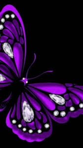 We did not find results for: Wallpaper Images Butterfly Wallpaper Collection