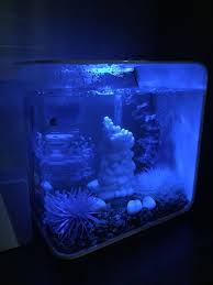 Biorb Flow Intelligent Light By Night Cool Fish Tanks Cool Fish Biorb