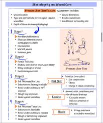 Image result for Comprehensive Skin Integrity Assessment