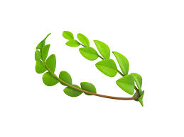 Laurel Wreath In 2020 Laurel Wreath Laurel Base Colour